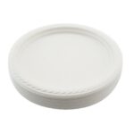 DISPOSABLE PLASTIC PLATES 10" 50'S (10)
