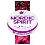 NORDIC NIC POUCH FOREST BERRIES 2* 5MG (5)