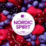 NORDIC NIC POUCH FOREST BERRIES 3* 8MG (5)