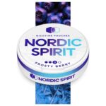 NORDIC NIC POUCH FROSTY BERRY 3* 8MG (5)