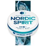 NORDIC NIC POUCH FROSTY MINT 3* 8MG (5)