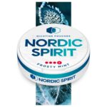 NORDIC NIC POUCH FROSTY MINT 4* 10MG (5)