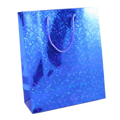 HOLOGRAPHIC LARGE BAG (12)