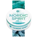 NORDIC NIC POUCH SPEARMINT 2*  5MG (5)