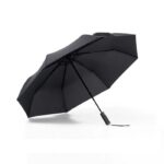 WINTER UMBRELLA (6)