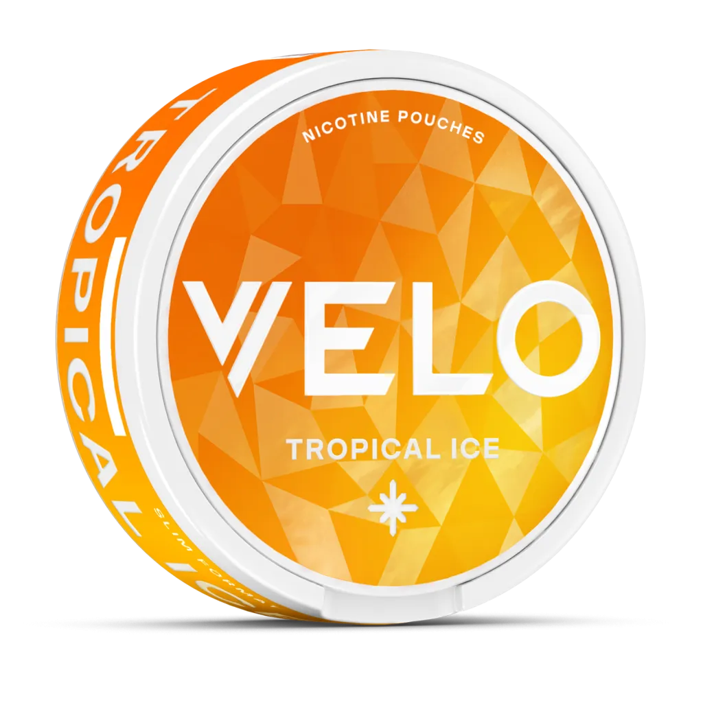 dv_2024_04_03_04_07_32_12445