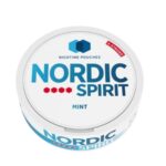 NORDIC NIC POUCH MINT 4* 10MG (5)