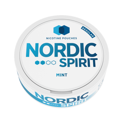 NORDIC NIC POUCH MINT 2* 5MG (5)